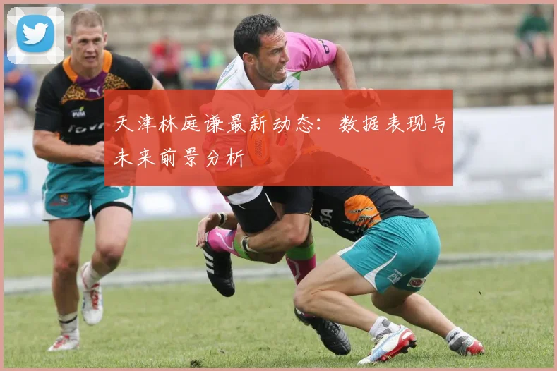 天津林庭谦最新动态：数据表现与未来前景分析
