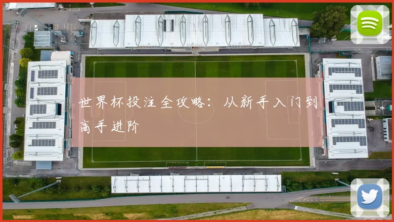 世界杯投注全攻略：从新手入门到高手进阶